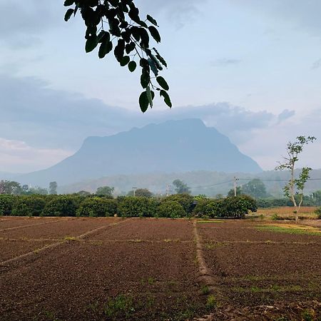 Отель Krathom Doi Luang Чианг Дао Экстерьер фото
