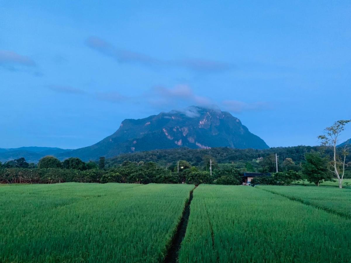 Отель Krathom Doi Luang Чианг Дао Экстерьер фото