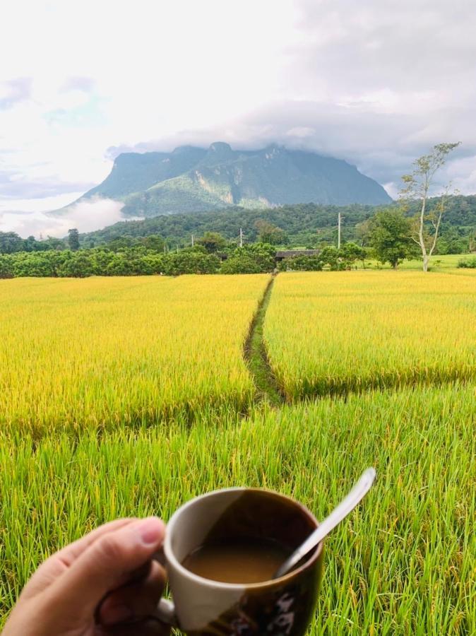 Отель Krathom Doi Luang Чианг Дао Экстерьер фото
