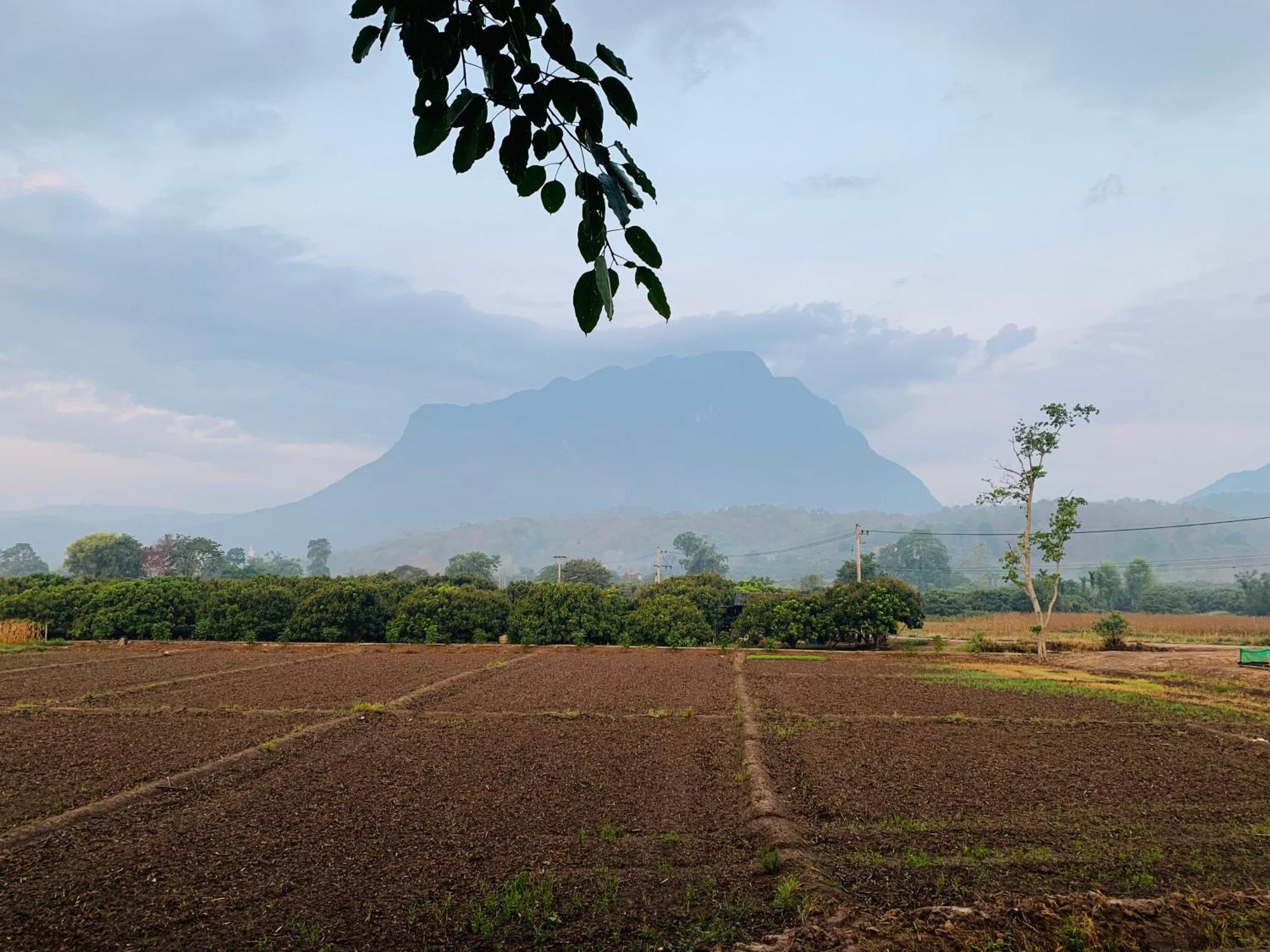 Отель Krathom Doi Luang Чианг Дао Экстерьер фото